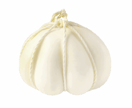pagnotta