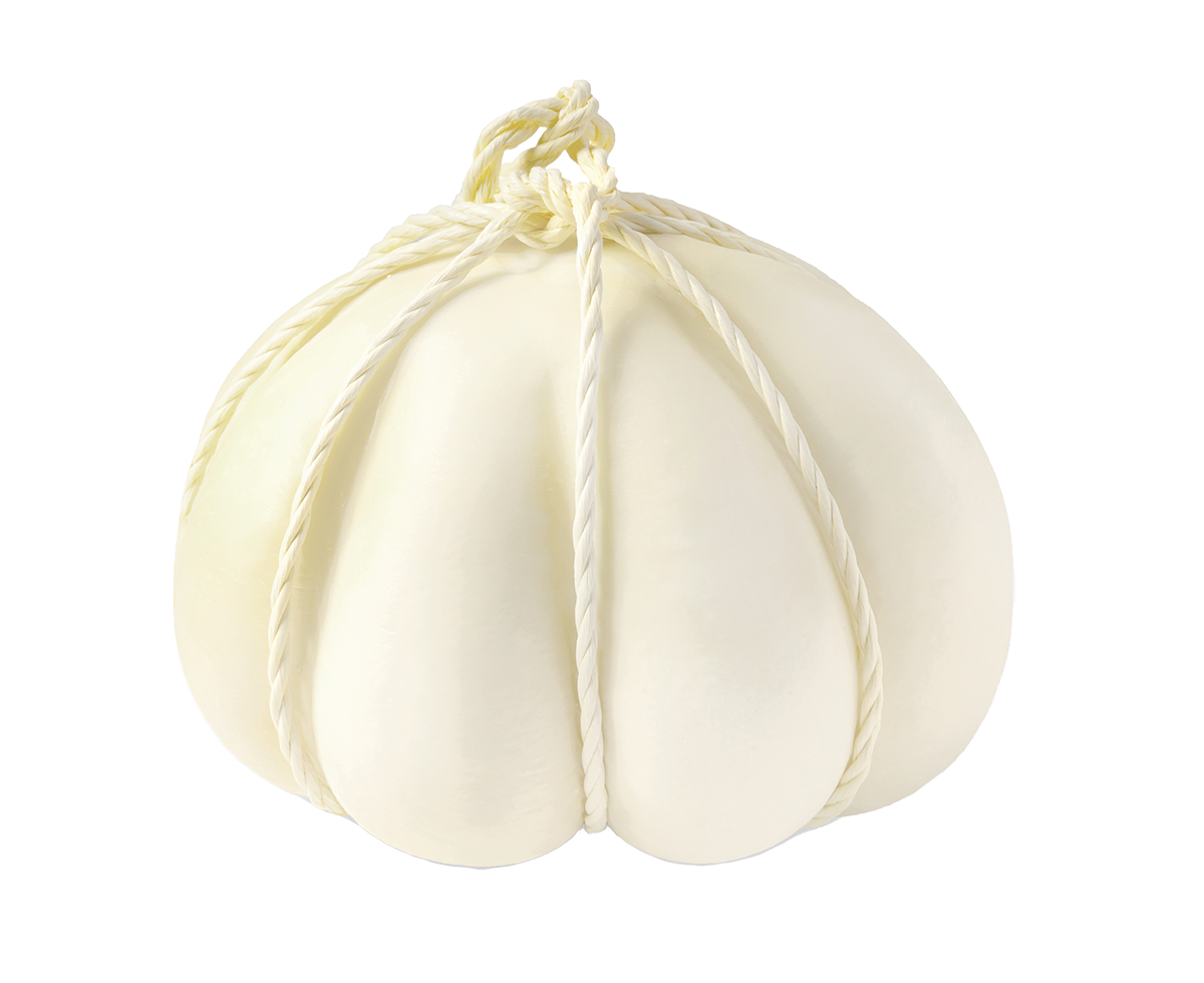 pagnotta
